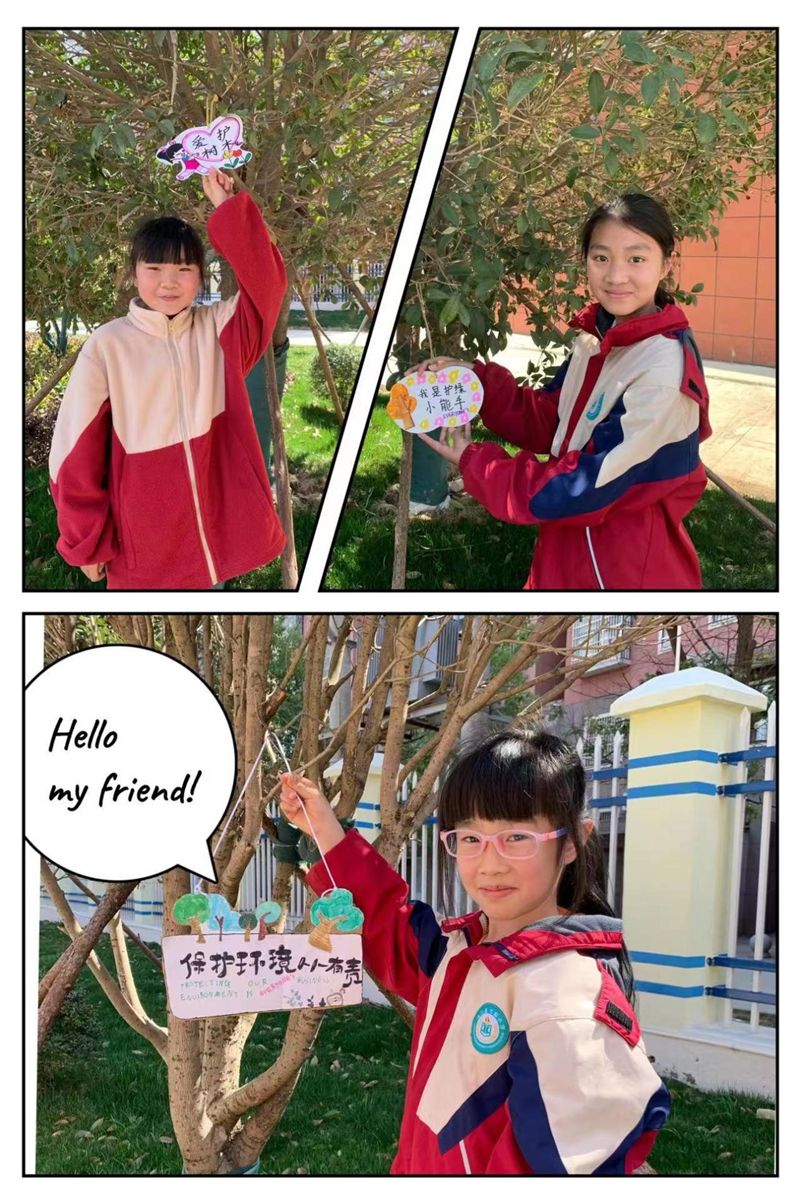 图片12.png 图片12.png