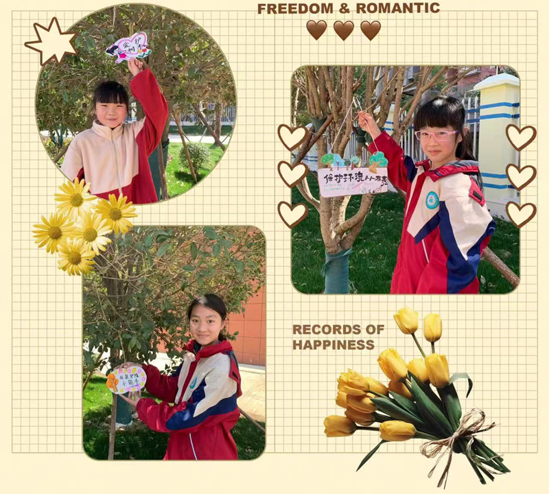 图片13.png 图片13.png