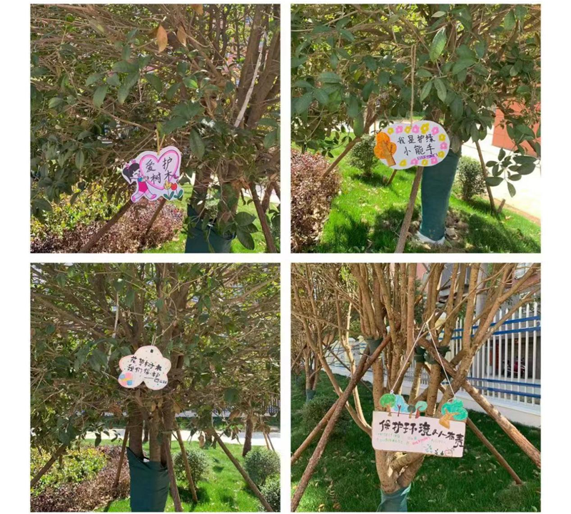 图片14.png 图片14.png