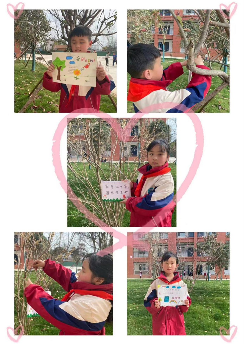 图片17.png 图片17.png