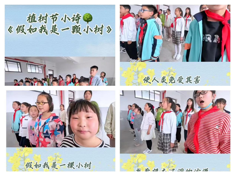 图片6.png 图片6.png