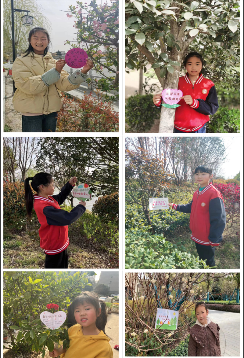 我为护绿写标语1.png 我为护绿写标语1.png