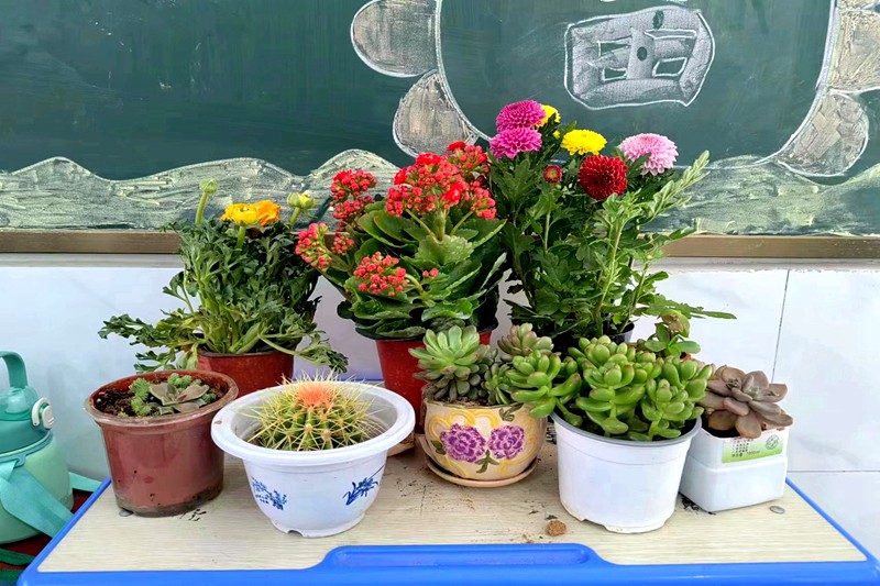 图片6.jpg