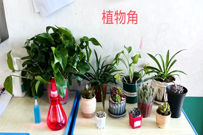 图片8.jpg