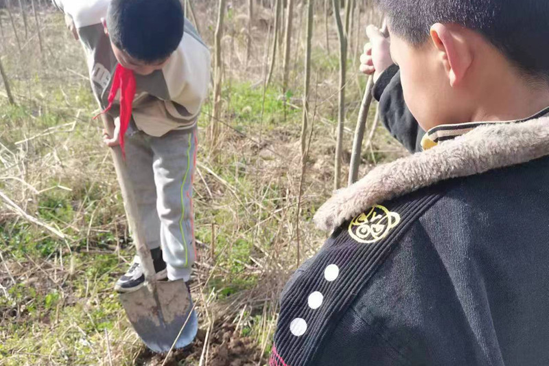 图片1.jpg