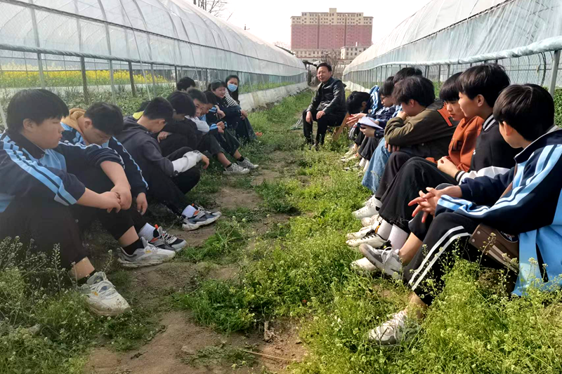 图片31.png 图片31.png