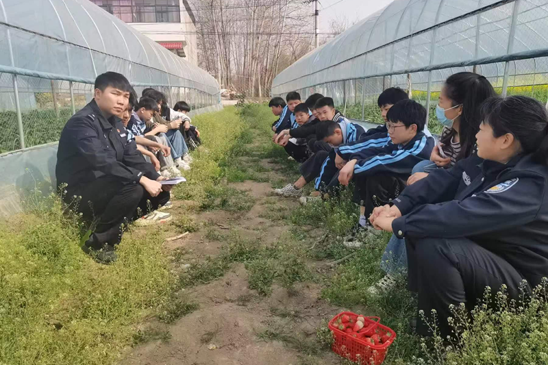 图片32.png 图片32.png