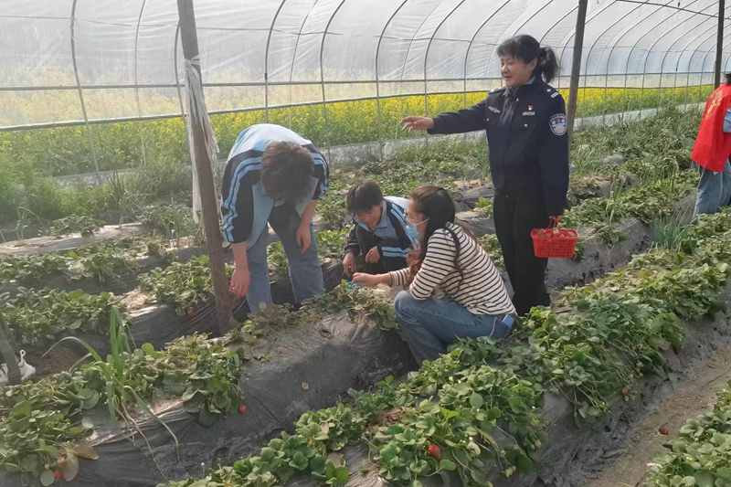 图片33.png 图片33.png