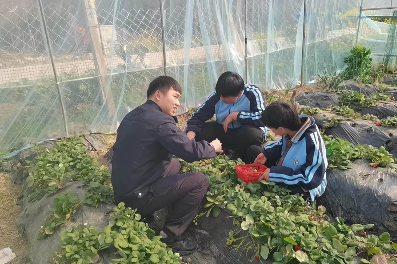 图片35.png 图片35.png