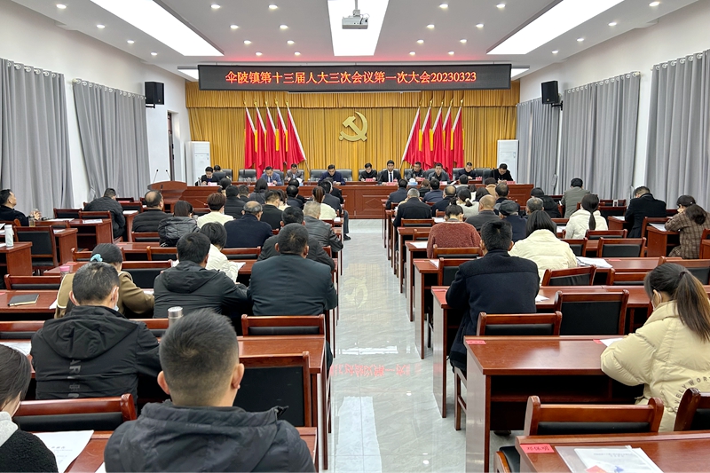 伞陂镇人大会一次会议.JPG