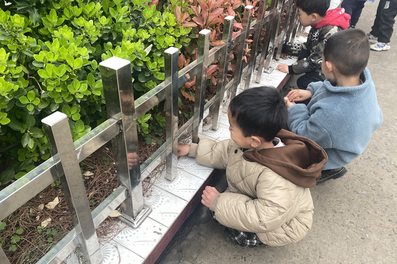 捡花坛里的垃圾.jpg