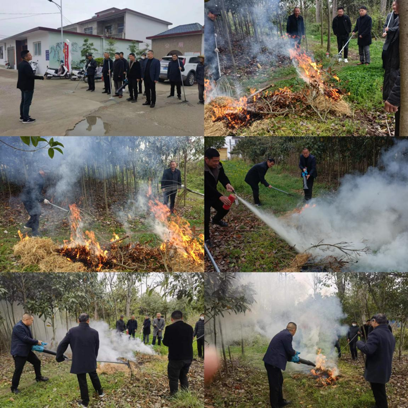 图片84.png 图片84.png