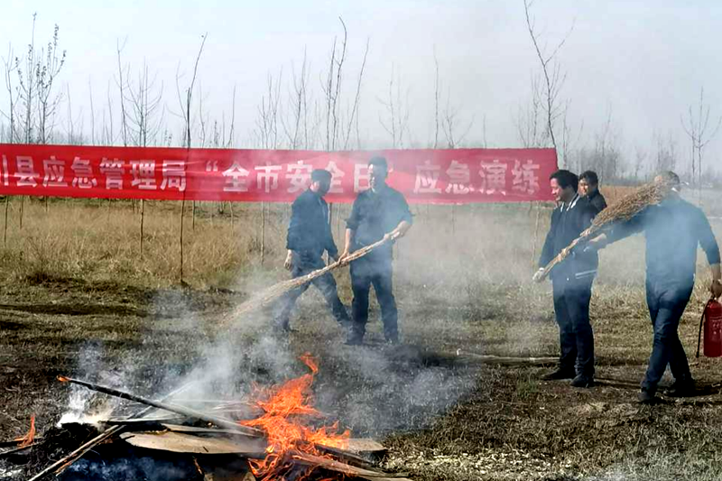 图片33.png 图片33.png