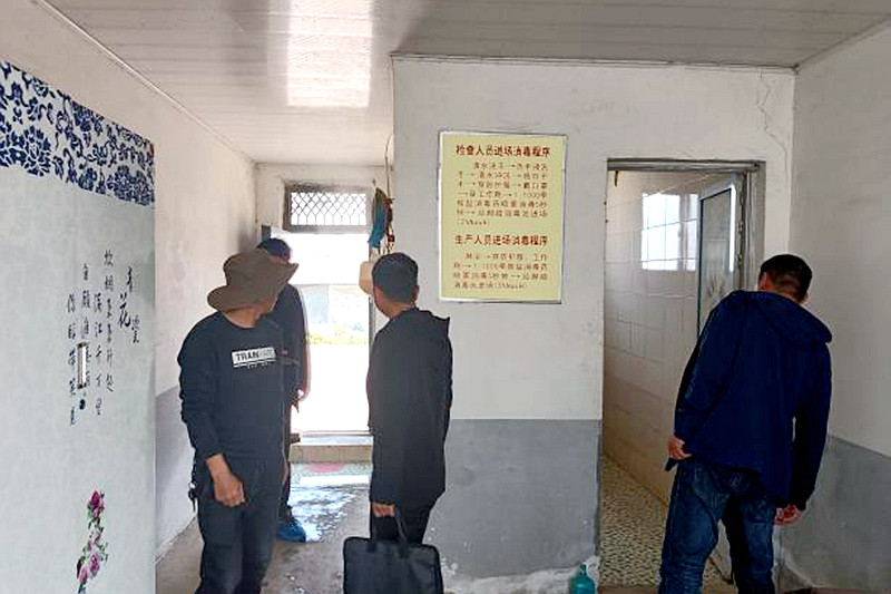 图片2.jpg