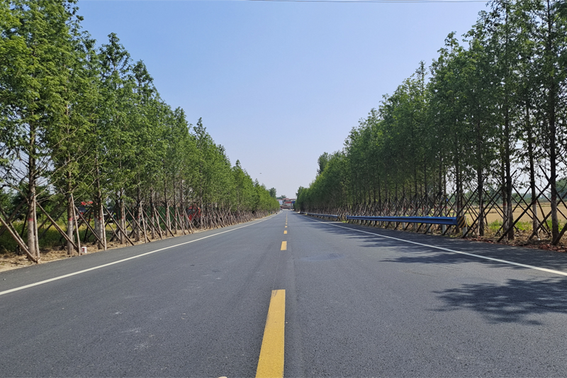 图片126.png 图片126.png