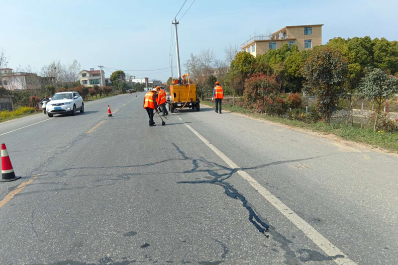 图片19.png 图片19.png