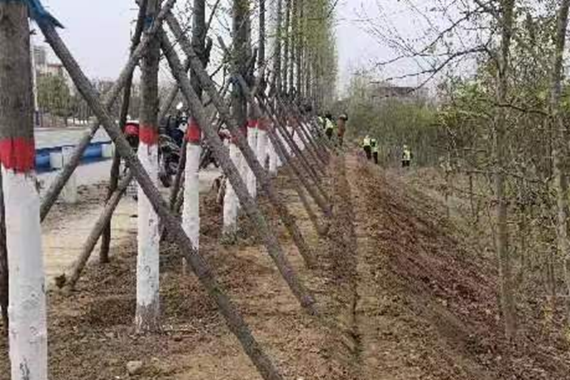 图片11.png 图片11.png