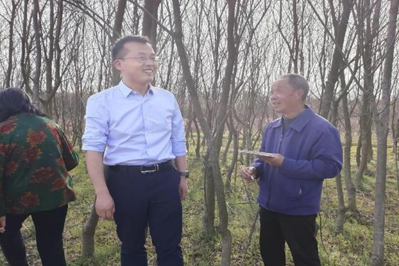 图片38.png 图片38.png