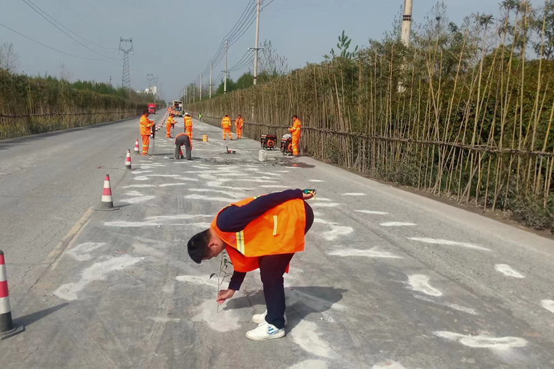 图片16.png 图片16.png