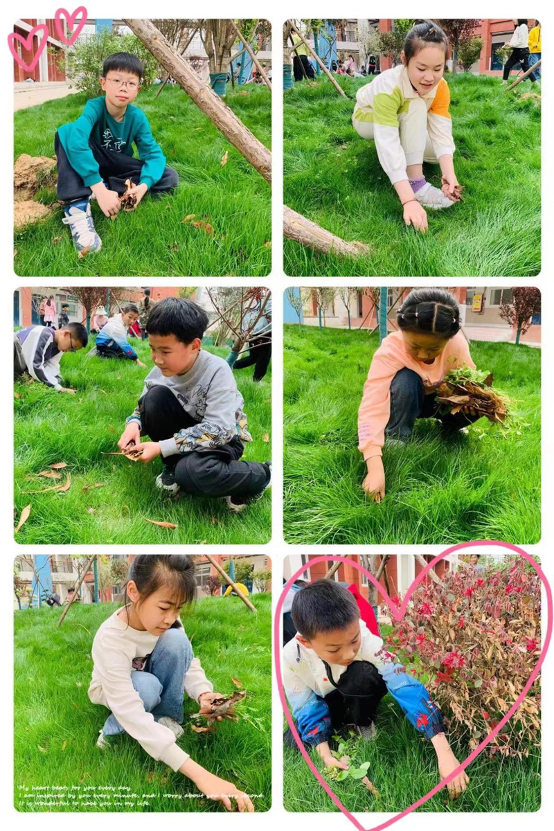图片24.png 图片24.png