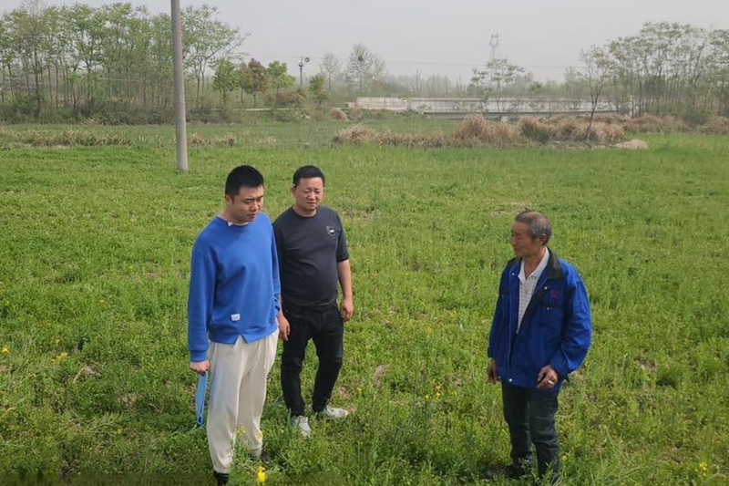 伞陂镇油菜验收现场照片 (2).JPG