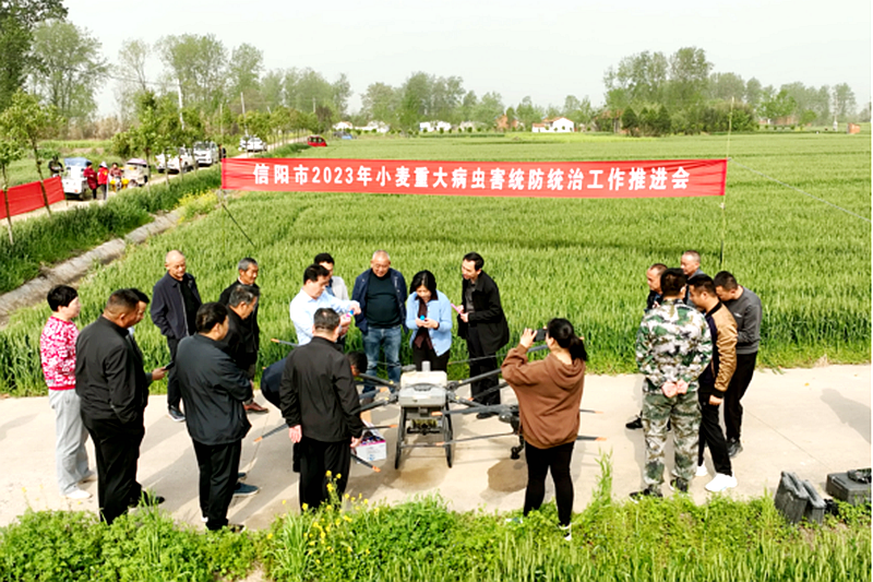 图片 2.png