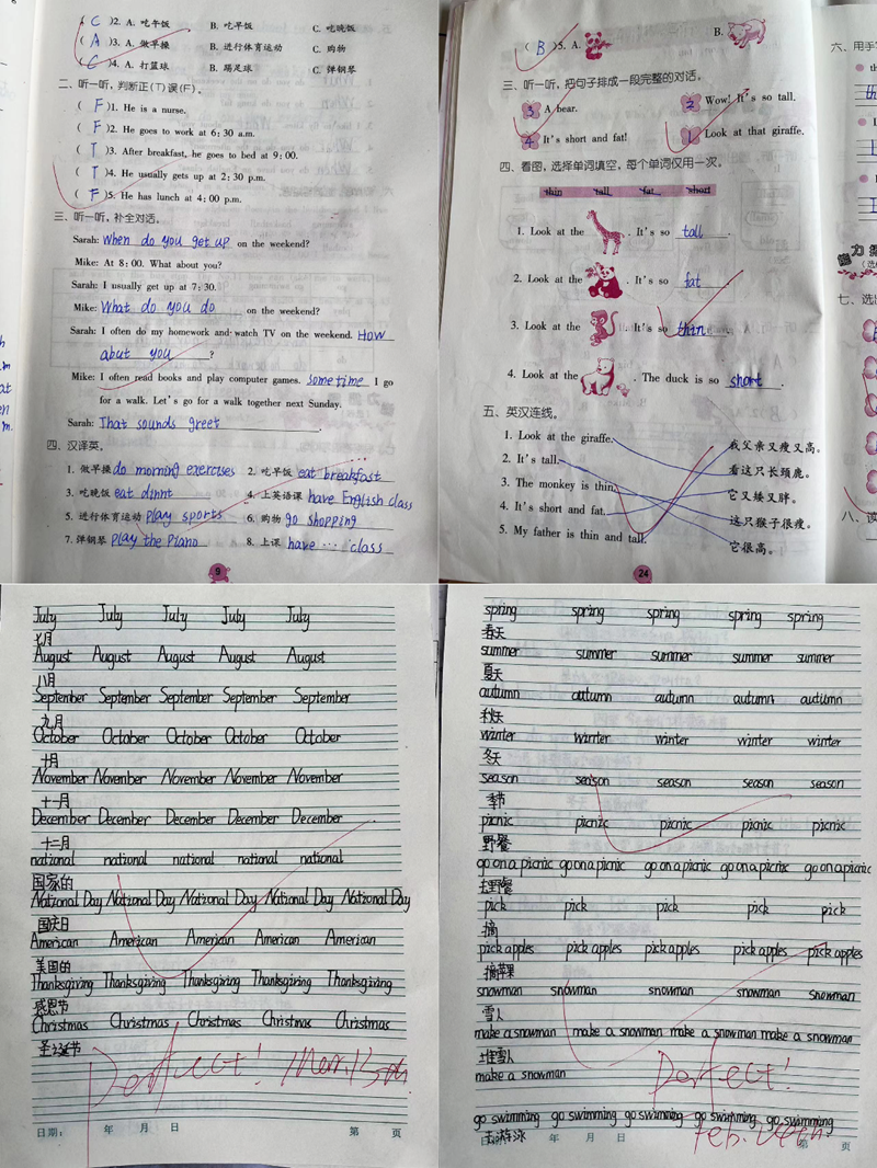 图片51.png 图片51.png