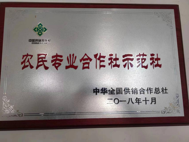 图片 7.png 图片 7.png