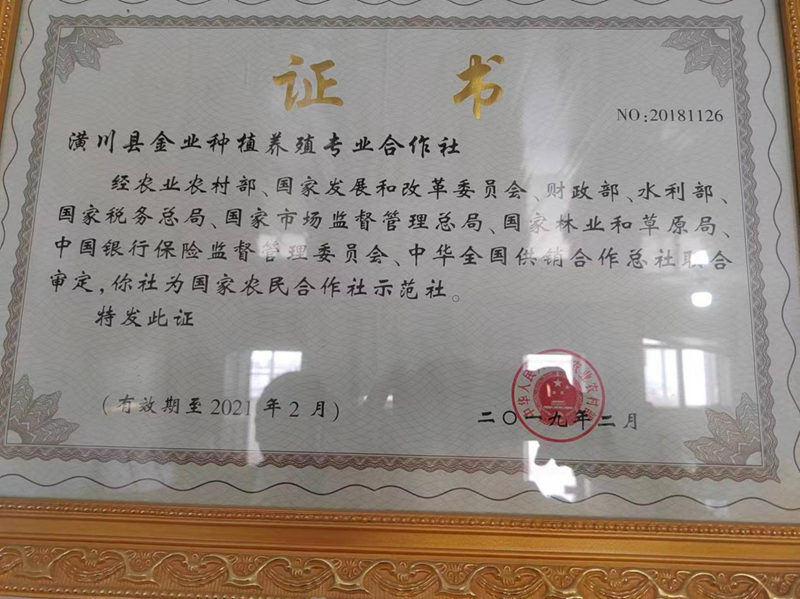 图片 5.png 图片 5.png