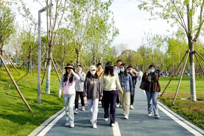 图片 3.png