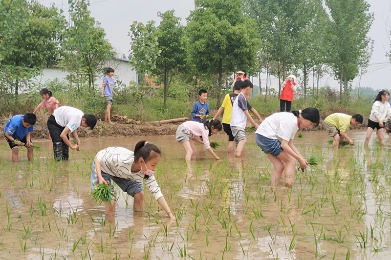 图片 4.png 图片 4.png