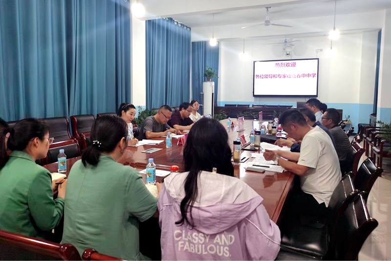 专家组听取汇报1.jpg