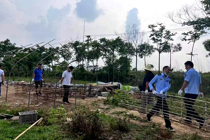 1684895025531_01BCD85E-A779-4c84-8F66-2DE18F673E0E.png 1684895025531_01BCD85E-A779-4c84-8F66-2DE18F673E0E.png