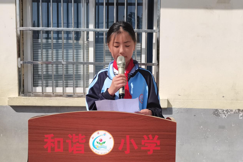 图片 11.png