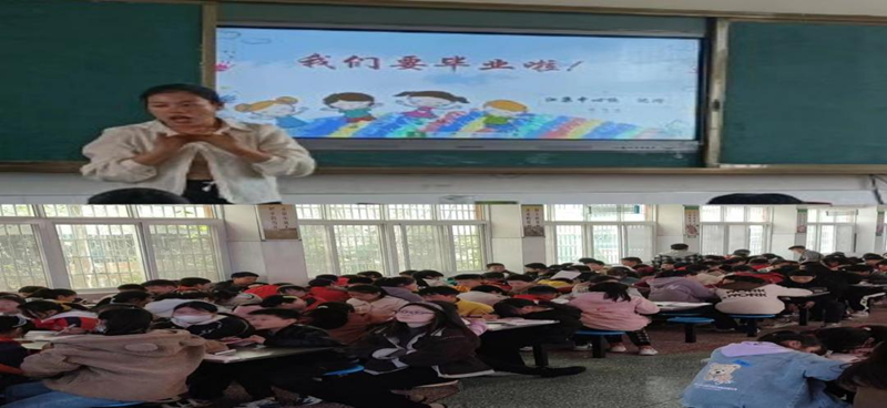 图片 11.png 图片 11.png