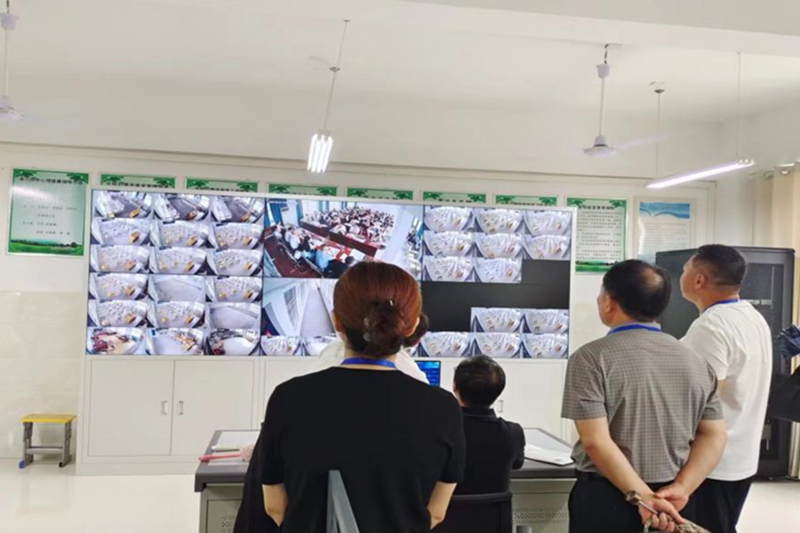 图片 1.png 图片 1.png