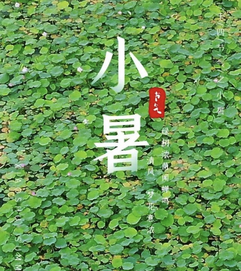 图片 2.png 图片 2.png