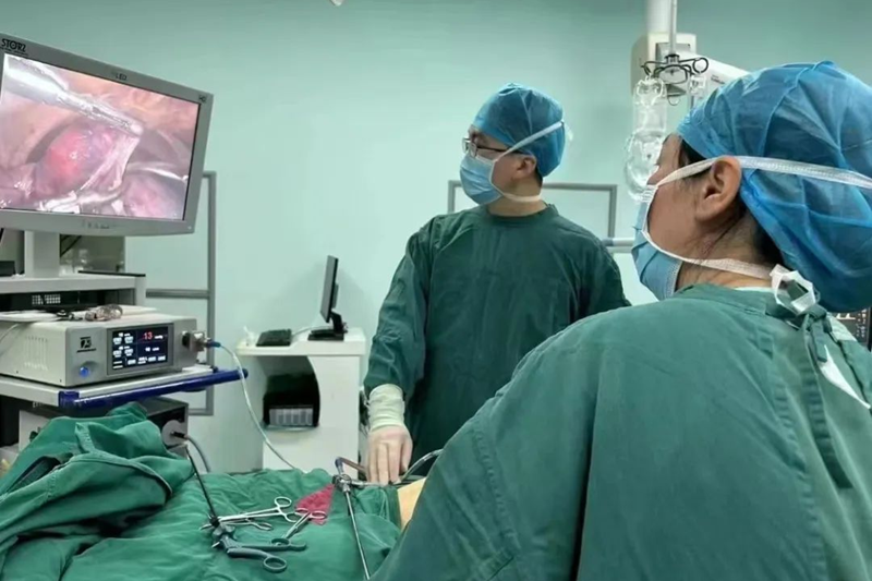 图片 1.png 图片 1.png