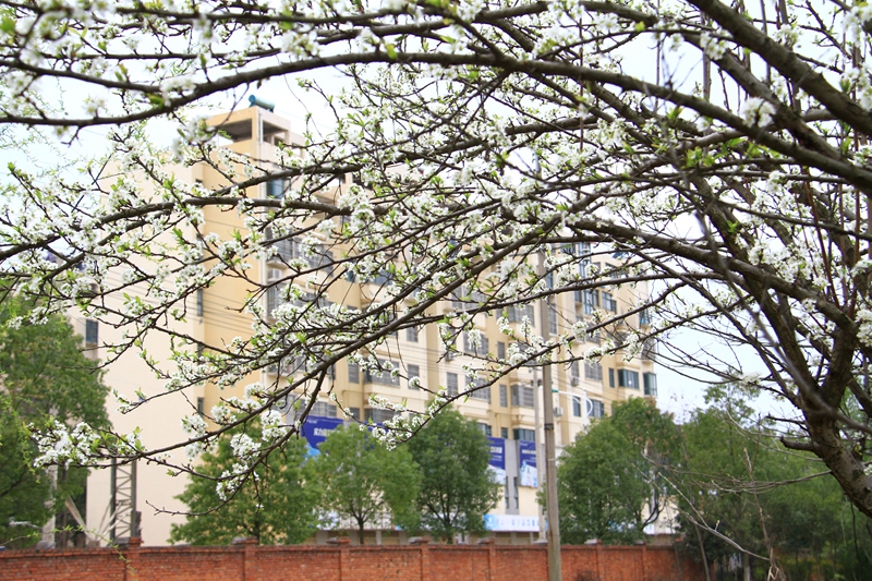 微信图片_20230721110142.jpg 微信图片_20230721110142.jpg