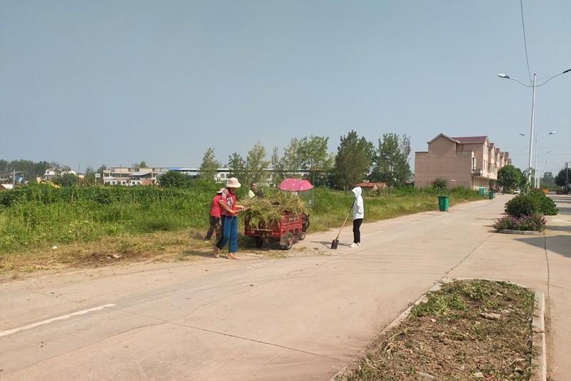 伞陂创卫工作照片 (7).jpg