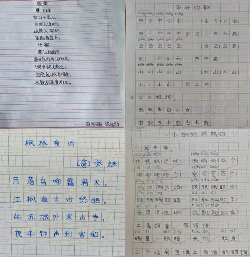 图片 8.png