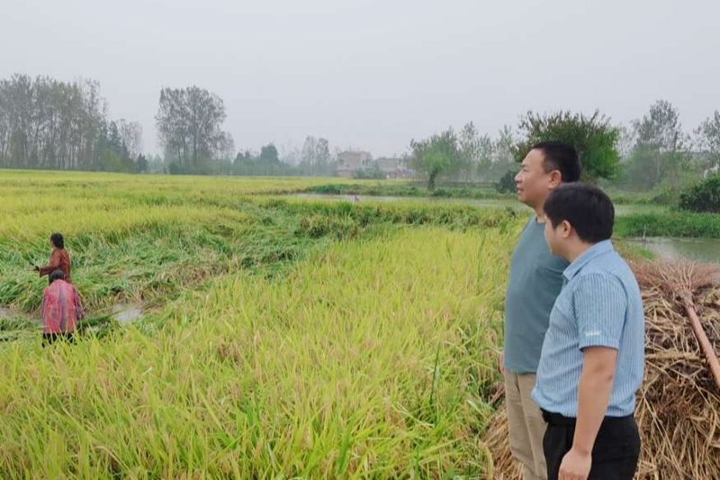 微信图片_20230920182325.jpg 微信图片_20230920182325.jpg