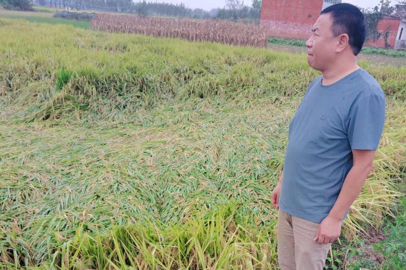 微信图片_20230920182325_1.jpg 微信图片_20230920182325_1.jpg