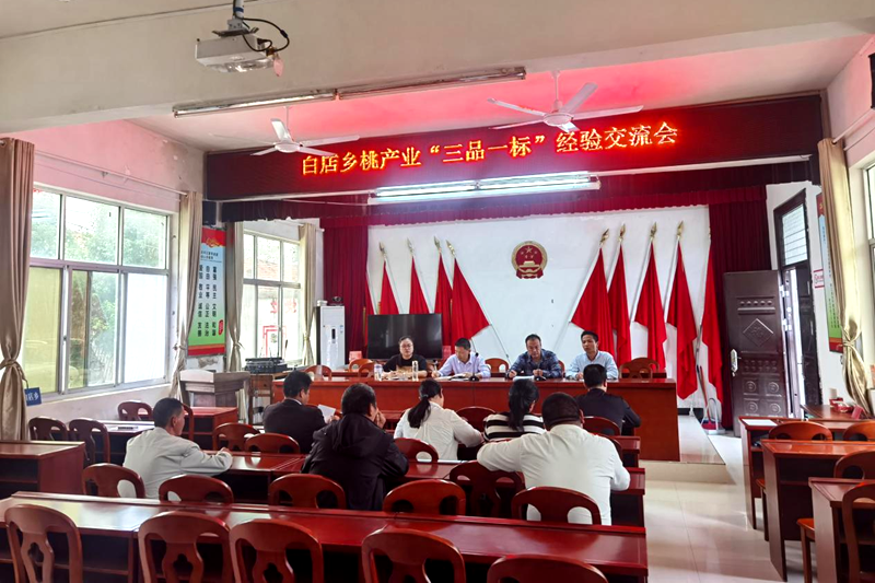 图片21.png 图片21.png