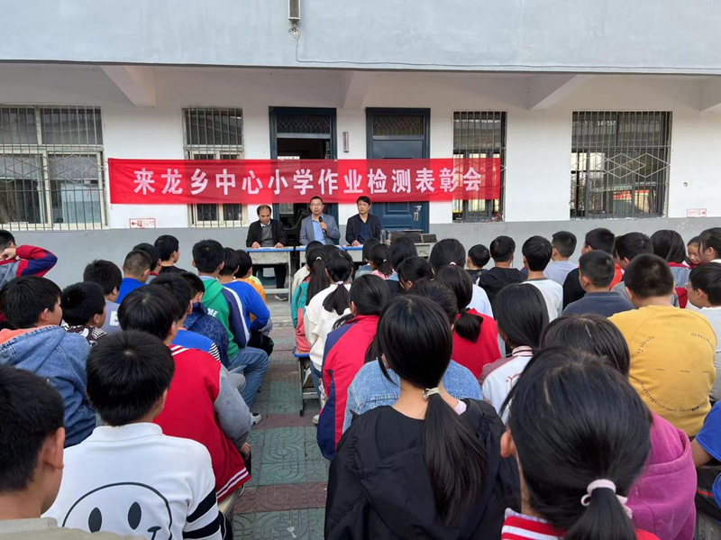 图片 8.png 图片 8.png
