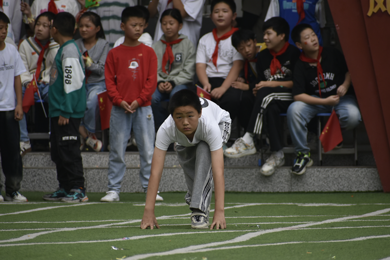 图片 23.png