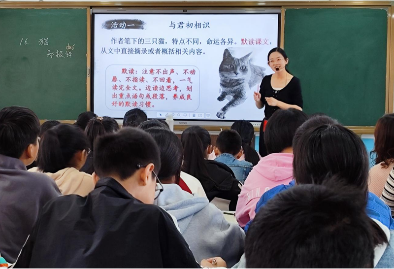 图片14.png 图片14.png