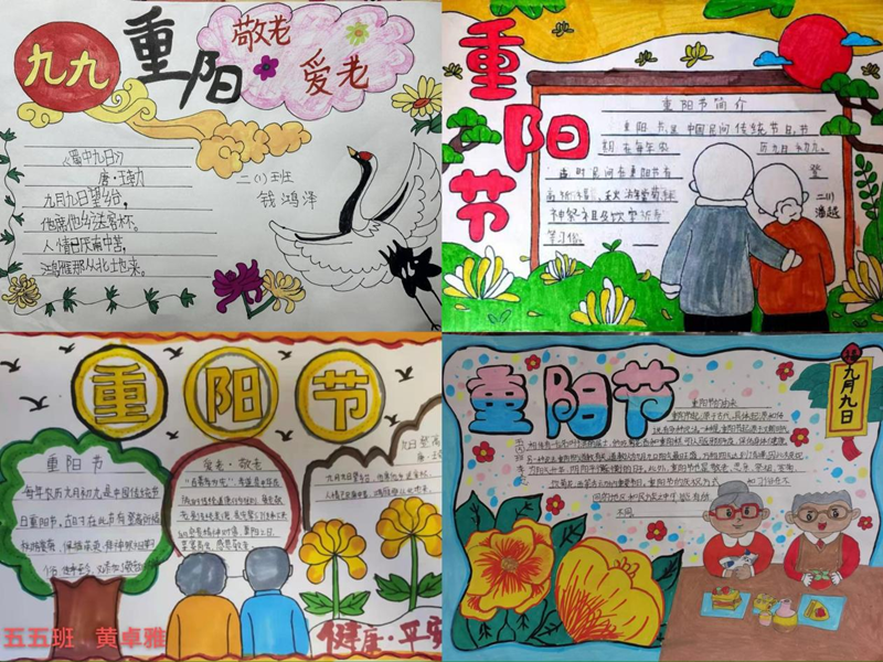 图片31.png