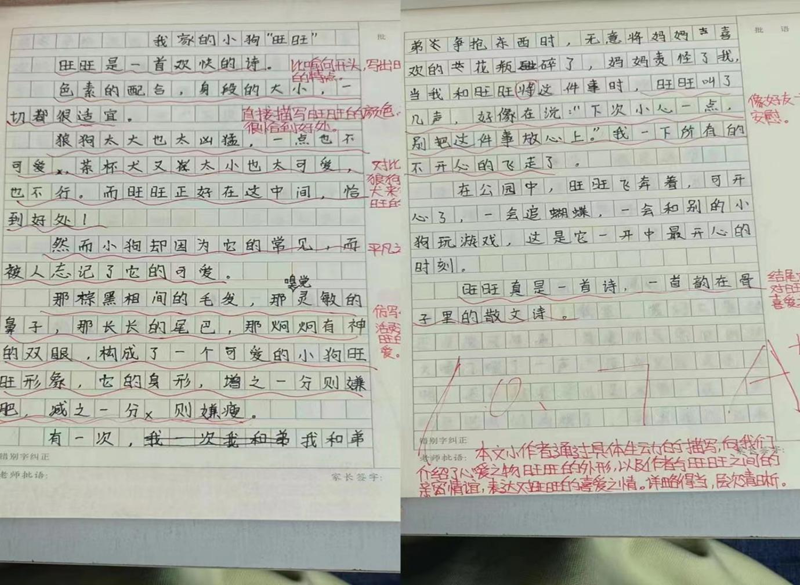 图片50.png