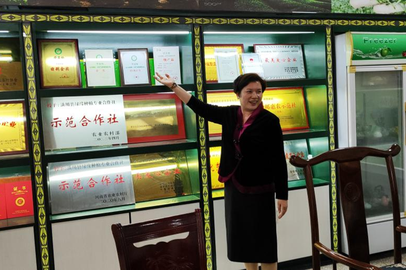 图片51.png